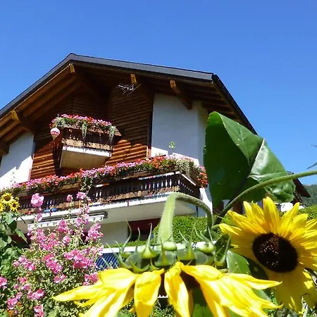 Verträumt Schön Zu Jeder Jahreszeit Bergpanoramasicht