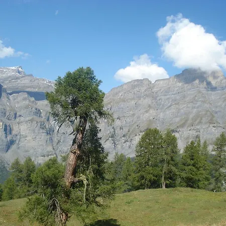 Verträumt Schön Zu Jeder Jahreszeit Bergpanoramasicht Apartment