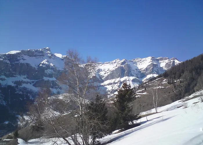 Vertraeumt Schoen Zu Jeder Jahreszeit Bergpanoramasicht Альбинен