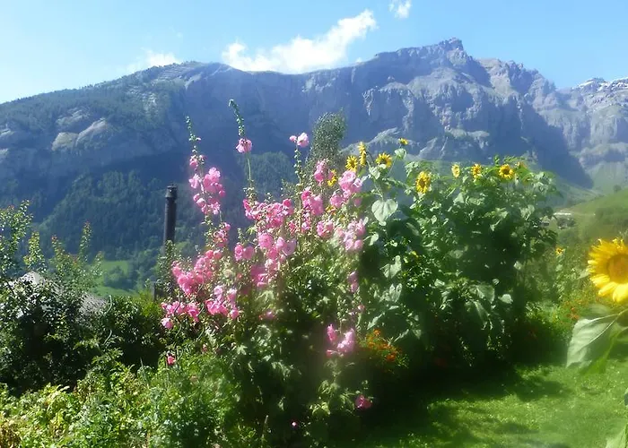 Vertraeumt Schoen Zu Jeder Jahreszeit Bergpanoramasicht * Альбинен