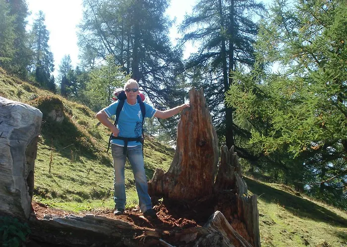 Апартаменты Vertraeumt Schoen Zu Jeder Jahreszeit Bergpanoramasicht Альбинен