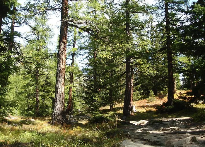 Vertraeumt Schoen Zu Jeder Jahreszeit Bergpanoramasicht * Альбинен