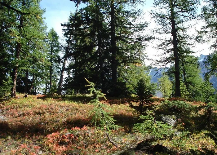 Vertraeumt Schoen Zu Jeder Jahreszeit Bergpanoramasicht Альбинен