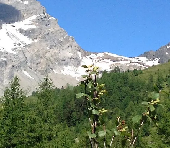 Апартаменты Vertraeumt Schoen Zu Jeder Jahreszeit Bergpanoramasicht