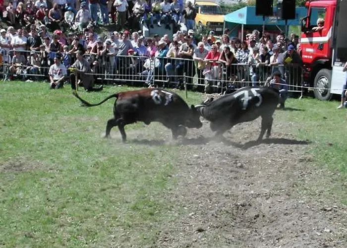 Vertraeumt Schoen Zu Jeder Jahreszeit Bergpanoramasicht