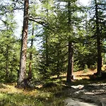 Vertraeumt Schoen Zu Jeder Jahreszeit Bergpanoramasicht * Albinen