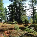 Vertraeumt Schoen Zu Jeder Jahreszeit Bergpanoramasicht Albinen