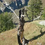 Vertraeumt Schoen Zu Jeder Jahreszeit Bergpanoramasicht Appartamento Albinen