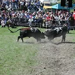 Vertraeumt Schoen Zu Jeder Jahreszeit Bergpanoramasicht