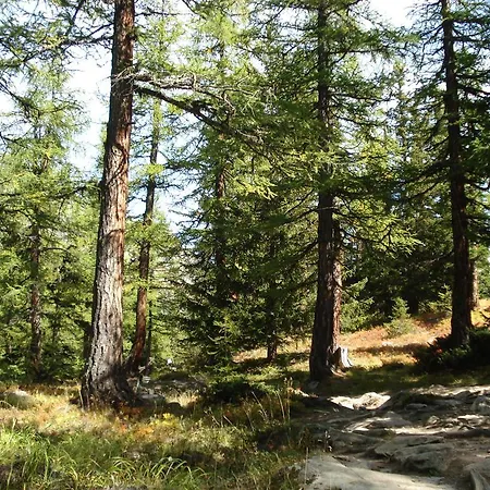 Vertraeumt Schoen Zu Jeder Jahreszeit Bergpanoramasicht * 阿尔宾内