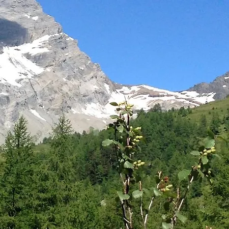 公寓 Vertraeumt Schoen Zu Jeder Jahreszeit Bergpanoramasicht