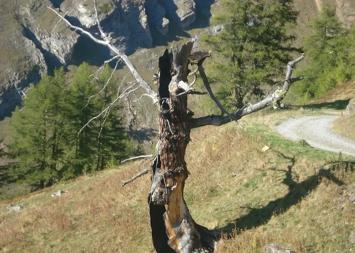 Vertraeumt Schoen Zu Jeder Jahreszeit Bergpanoramasicht Appartement Albinen