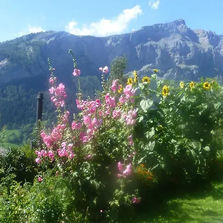 Vertraeumt Schoen Zu Jeder Jahreszeit Bergpanoramasicht * Альбинен