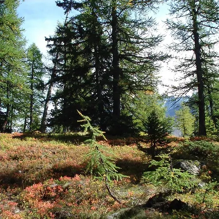 Vertraeumt Schoen Zu Jeder Jahreszeit Bergpanoramasicht Альбинен