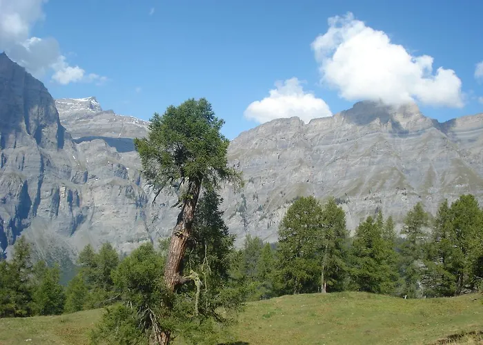 Vertraeumt Schoen Zu Jeder Jahreszeit Bergpanoramasicht 아파트